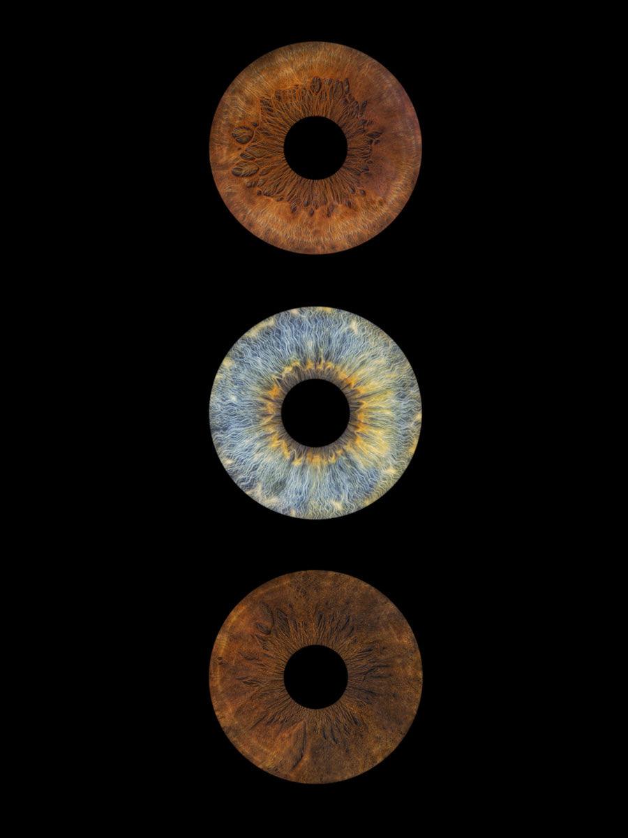 3-persoons irisfoto als digitaal bestand – macro close-up van drie irissen op zwarte achtergrond – IrisArtwork