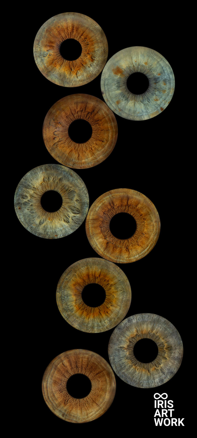 Digitaal 8-persoons Iris Artwork IrisArtwork