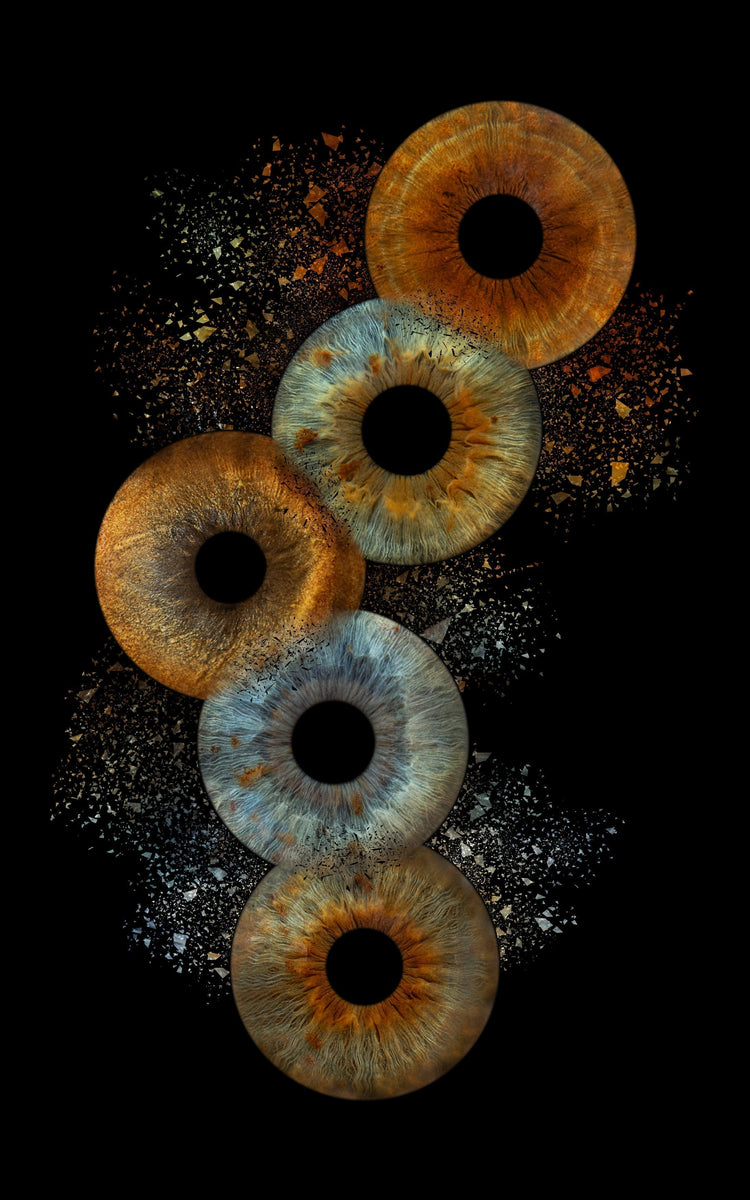 Nieuw bij IRISARTWORK: Irisfoto’s van Honden