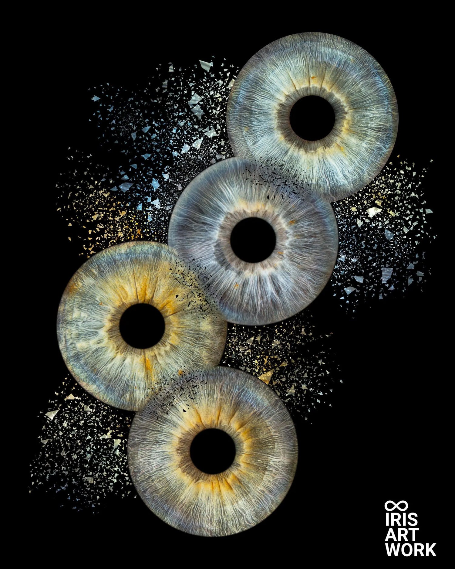 4 persoons iris artwork 