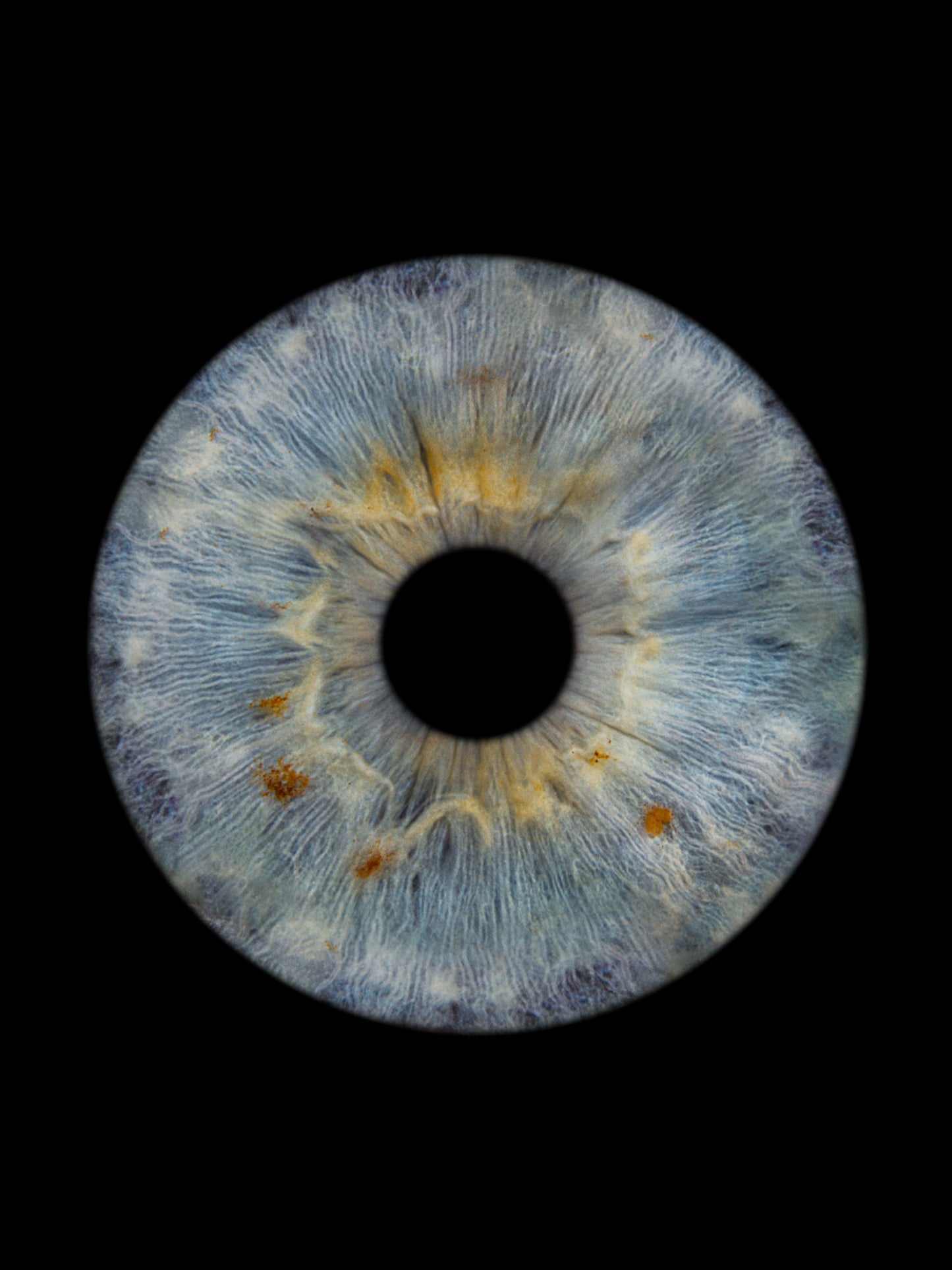 Digitaal 1-persoons Iris Foto Artwork