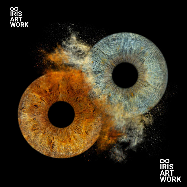 Hoge resolutie in TIF & JPG - bestanden worden via wetransfer verzonden - IrisArtwork