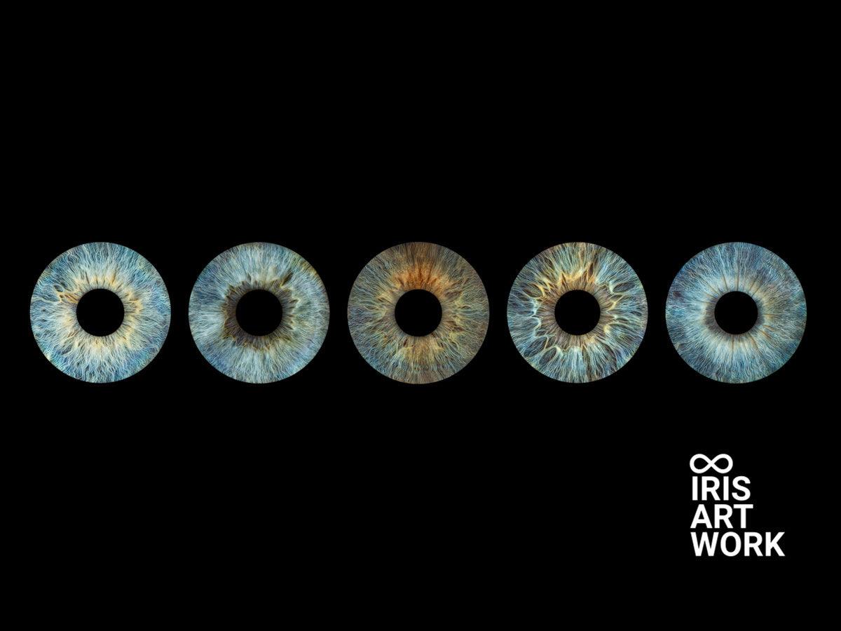 Digitaal 5-persoons Iris Artwork - IrisArtwork