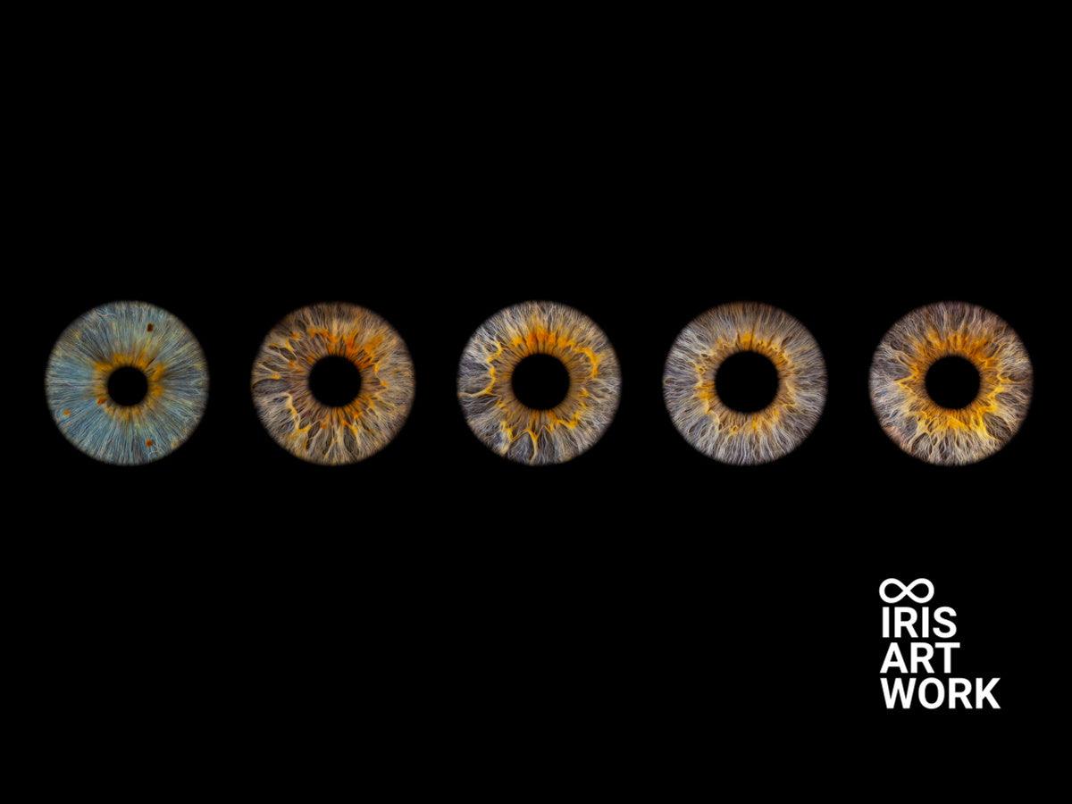 Digitaal 5-persoons Iris Artwork - IrisArtwork