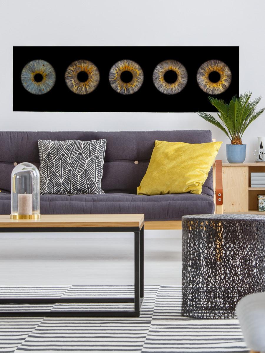 5perssingle-plexiglas-dibond